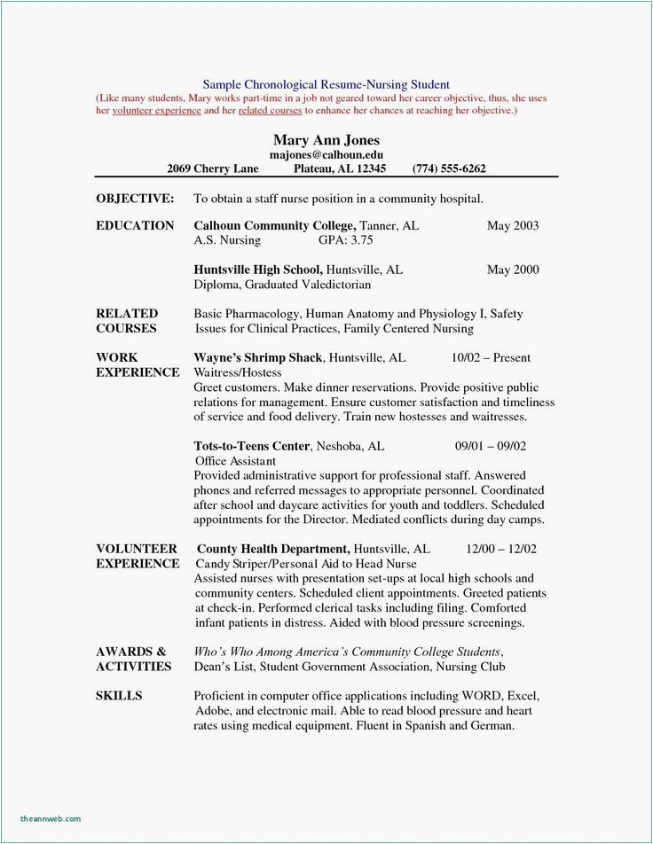 Activities and Interests On Resume Sample Interests and Activities Resume Elegant Resume Sample