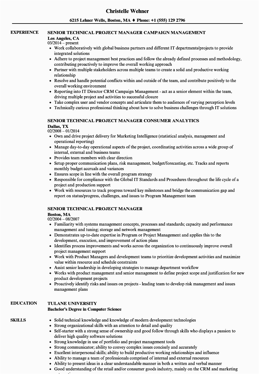 Senior Technical Project Manager Resume Sample Senior Technical Project Manager Resume Samples