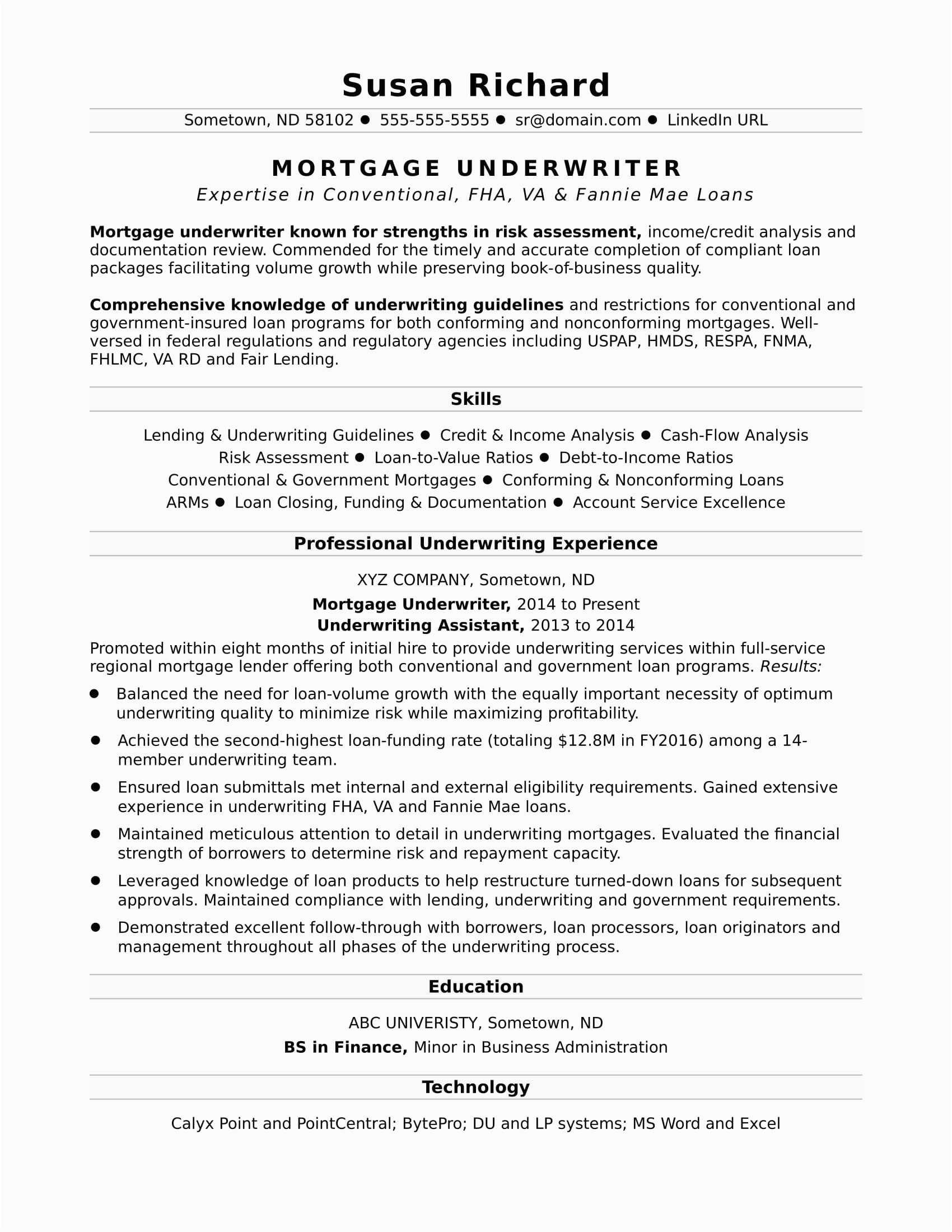 Best Sample Resume for It Professional 8 Best Professional Resume Examples
