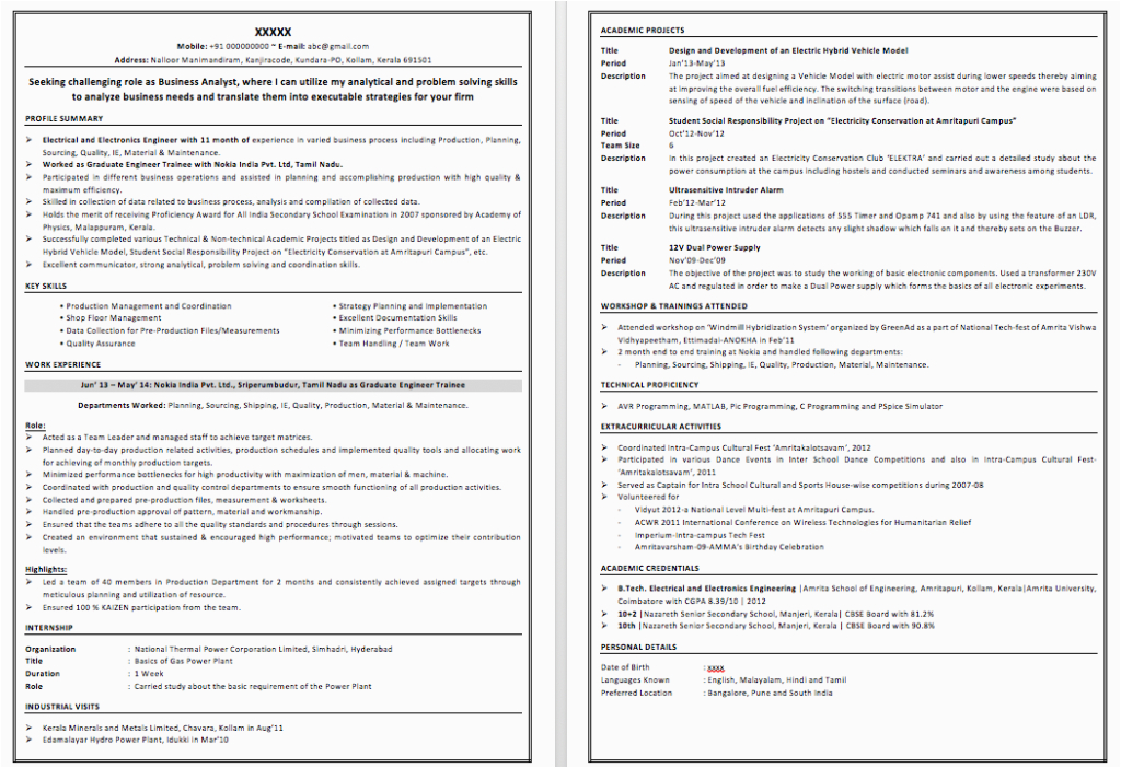 Best Sample Resume for It Professional It Professional Resume Samples