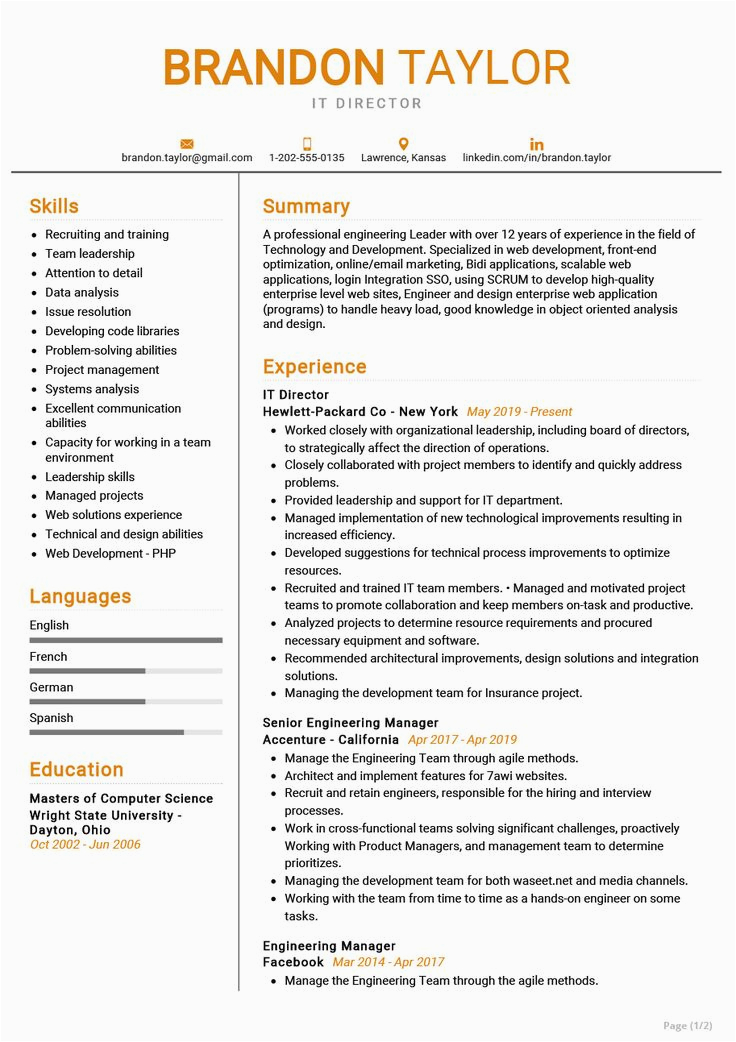 Best Sample Resume for It Professional the Most Re Mended Professional It Director Resume