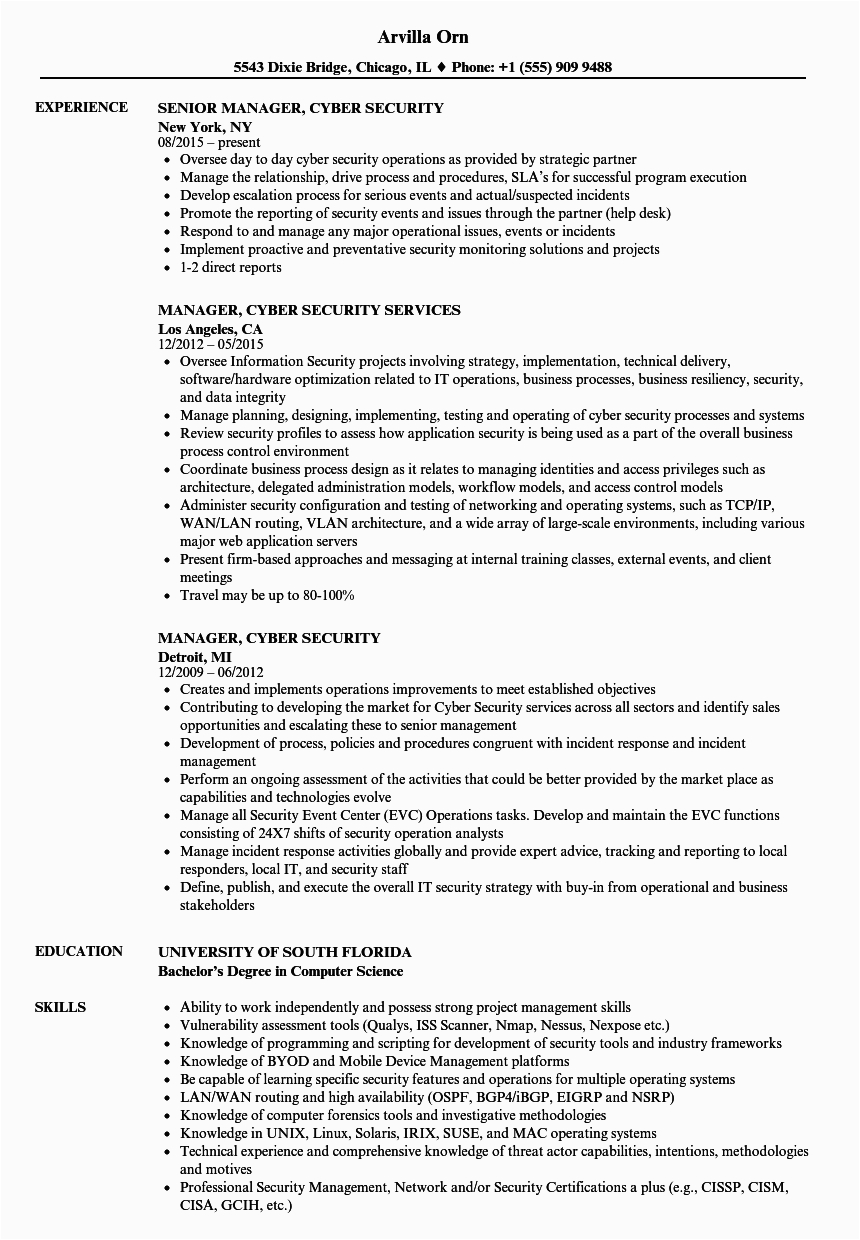 Entry Level Cyber Security Resume Sample Cyber Security Resume Example Resume Template Database