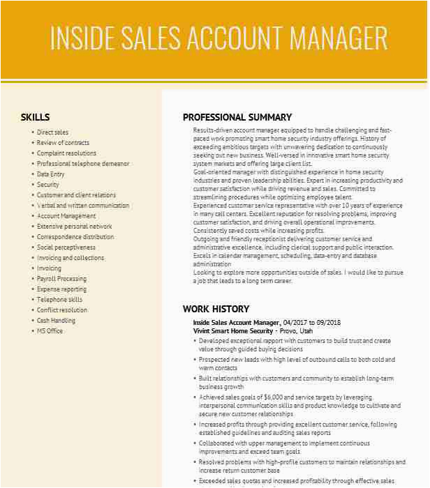 Inside Sales Account Manager Resume Sample Inside Sales Account Manager Resume Example Dell