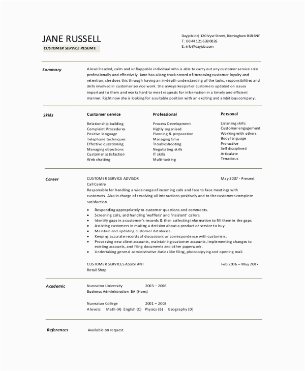 Professional Summary Resume Sample for Customer Service Free 8 Resume Summary Samples In Pdf