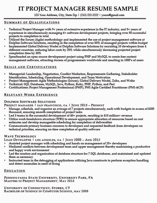 Professional Summary Resume Sample for It It Program Manager Resume It Director Resume Examples