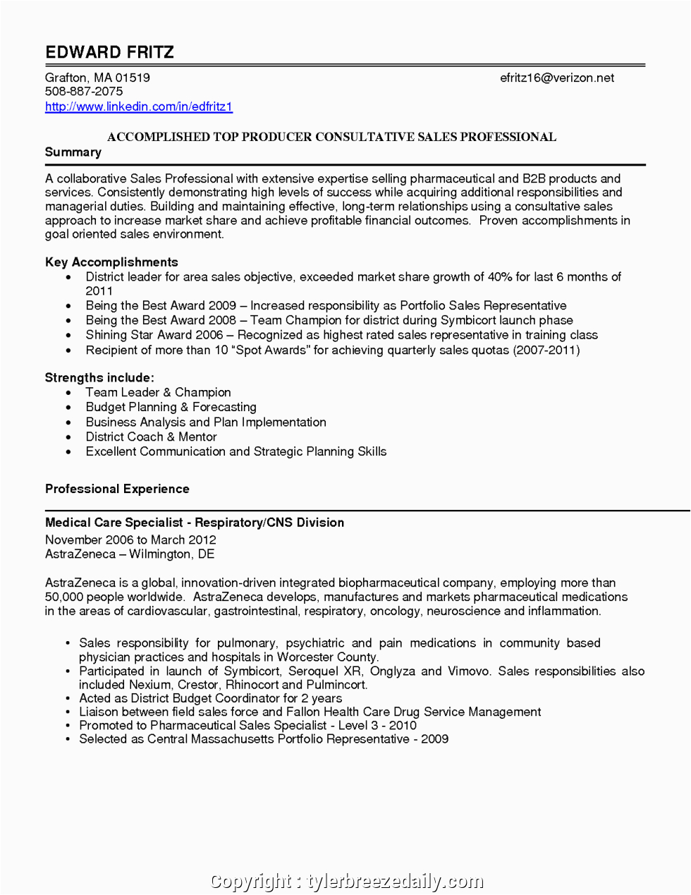 Professional Summary Resume Sample for Manager Simply Professional Summary for Sales Manager Gallery