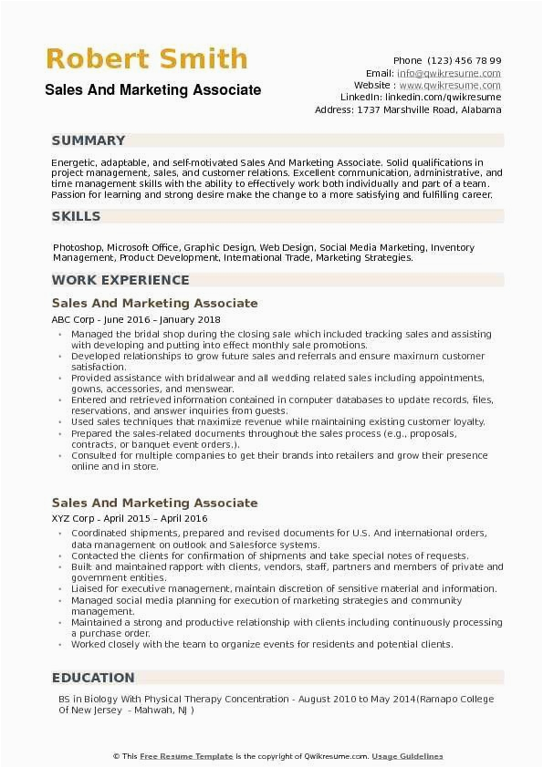 Profile Summary Sample for Sales Resume Resume Summary Examples for Sales Beautiful Sales and