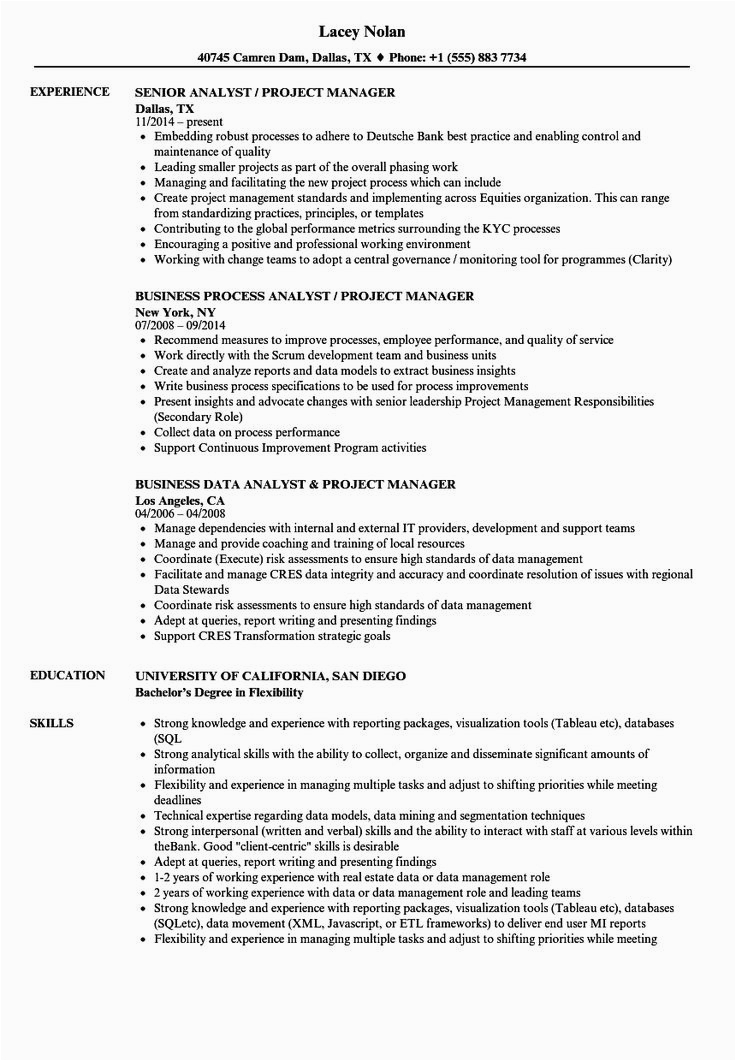 Project Manager Job Description Sample Resume Project Manager Job Description Resume Best Analyst