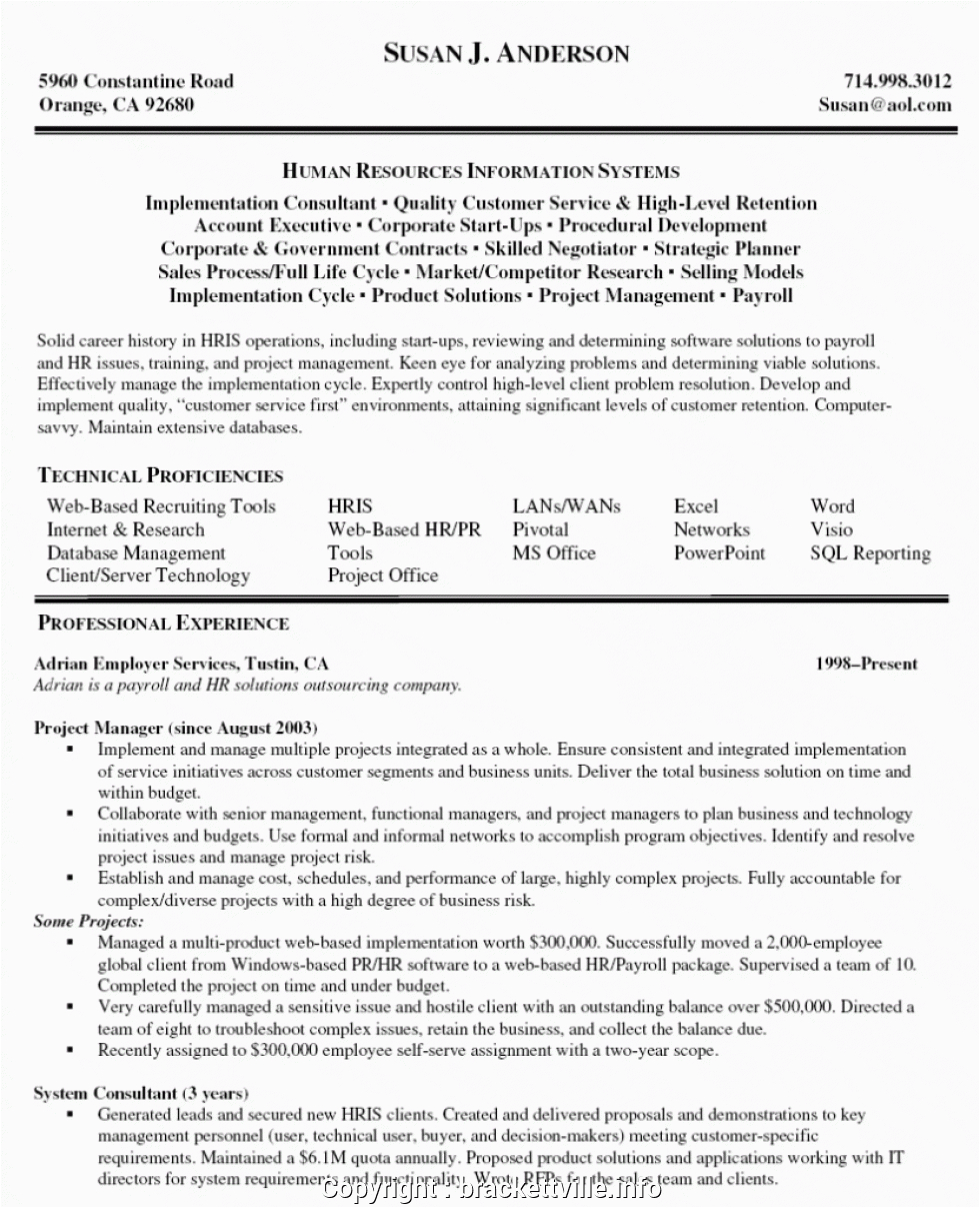 Project Manager Resume Sample Doc India Executive Java Project Manager Resume Sample Projectme