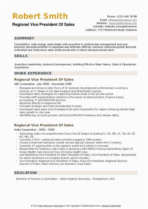 Regional Vp Of Sales Sample Resume Regional Vice President Sales Resume Samples