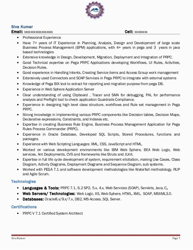 Sample Pega Developer Resume Filetype Doc Pega Sample Resume