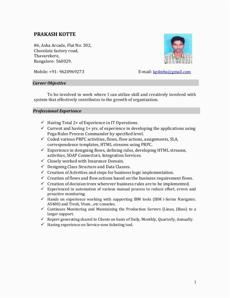 Sample Pega Developer Resume Filetype Doc Resume Pega