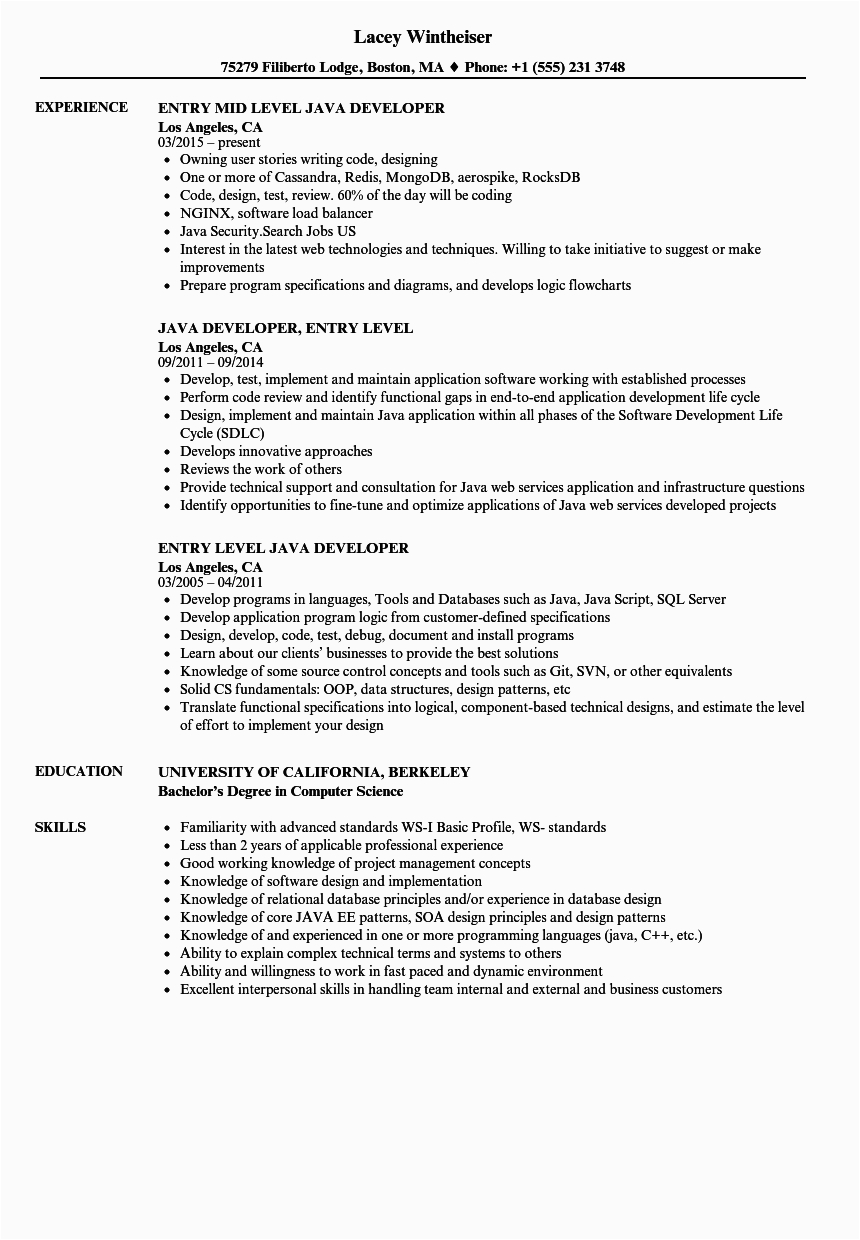 Sample Resume for 1 Year Experienced Java Developer Resume Examples Java Developer