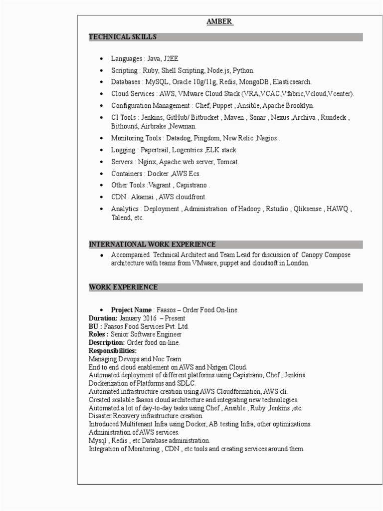 Sample Resume for Cloud Computing Pdf andy Resume Platform as A Service