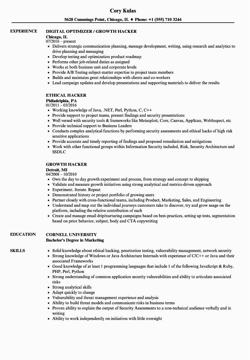 Sample Resume for Ethical Hacker Fresher Hacker Resume Samples
