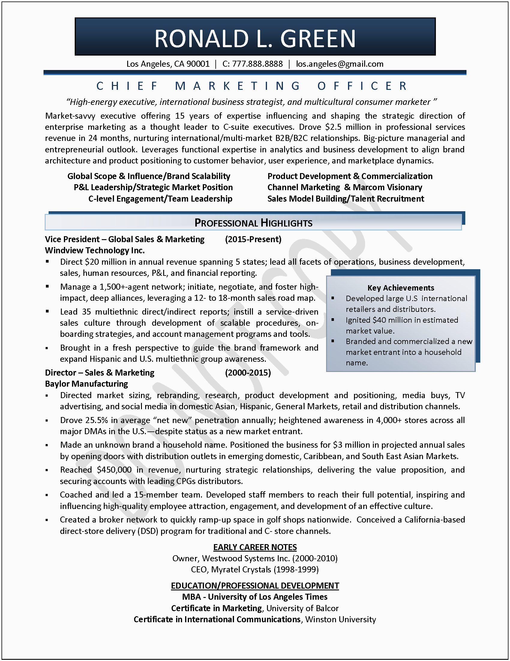 Sample Resume for Sales and Marketing Executive Executive Resume Samples