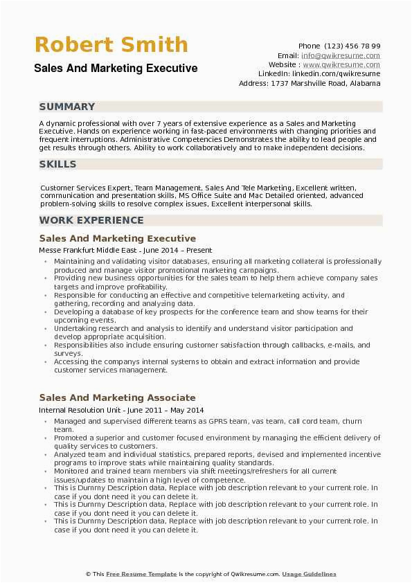 Sample Resume for Sales and Marketing Executive Sales and Marketing Executive Resume Samples