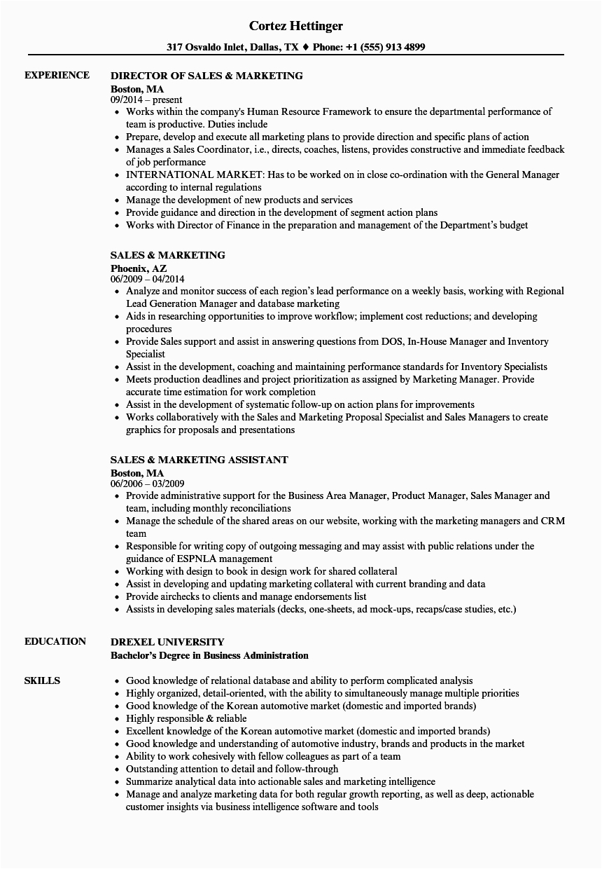 Sample Resume for Sales and Marketing Job Resume Examples for Marketing and Sales top Marketing