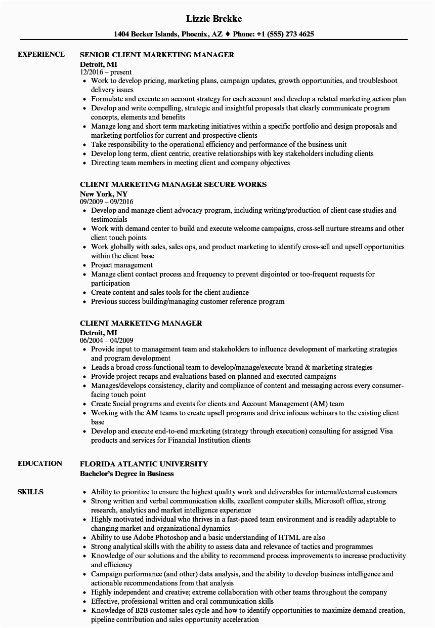 Sample Resume for Sales and Marketing Manager Sales and Marketing Manager Resume Sample Pdf Best