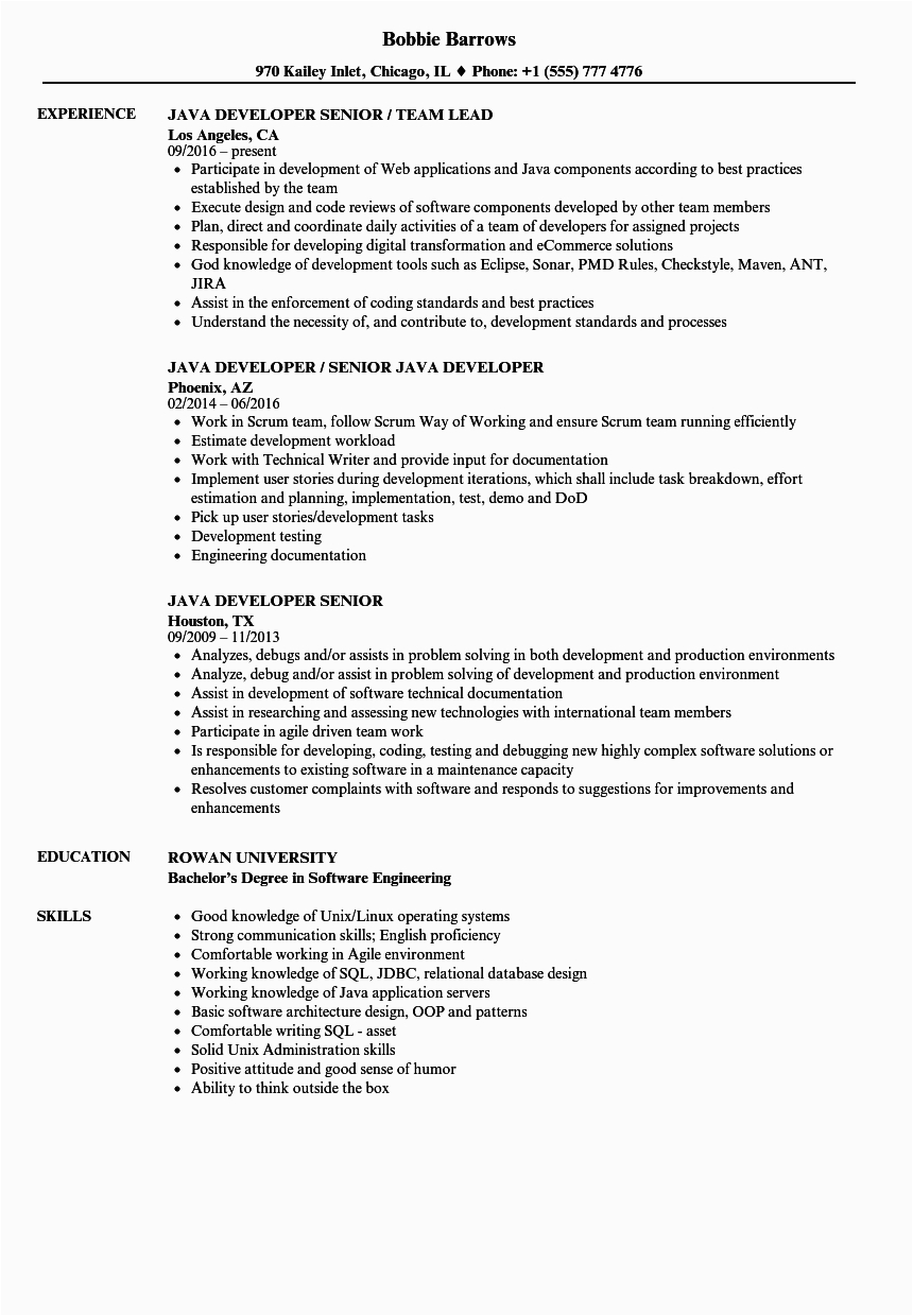 Sample Resume for Senior Java Developer Java Developer Senior Resume Samples