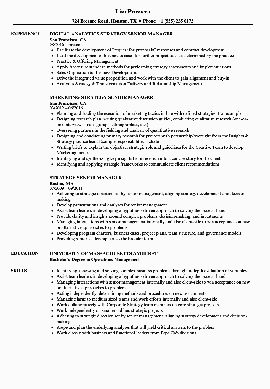Sample Resume for Senior Management Position Director Senior Executive Resume Examples Best Resume