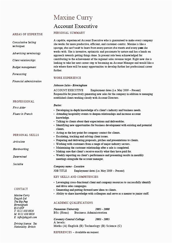 Sample Resume format for Accounts Executive 12 13 Sample Resume Account Executive Lascazuelasphilly