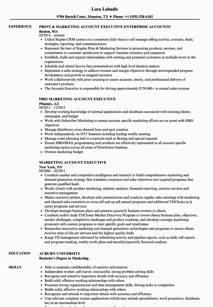 Sample Resume format for Accounts Executive 12 Accounts Executive Resume Sample Radaircars