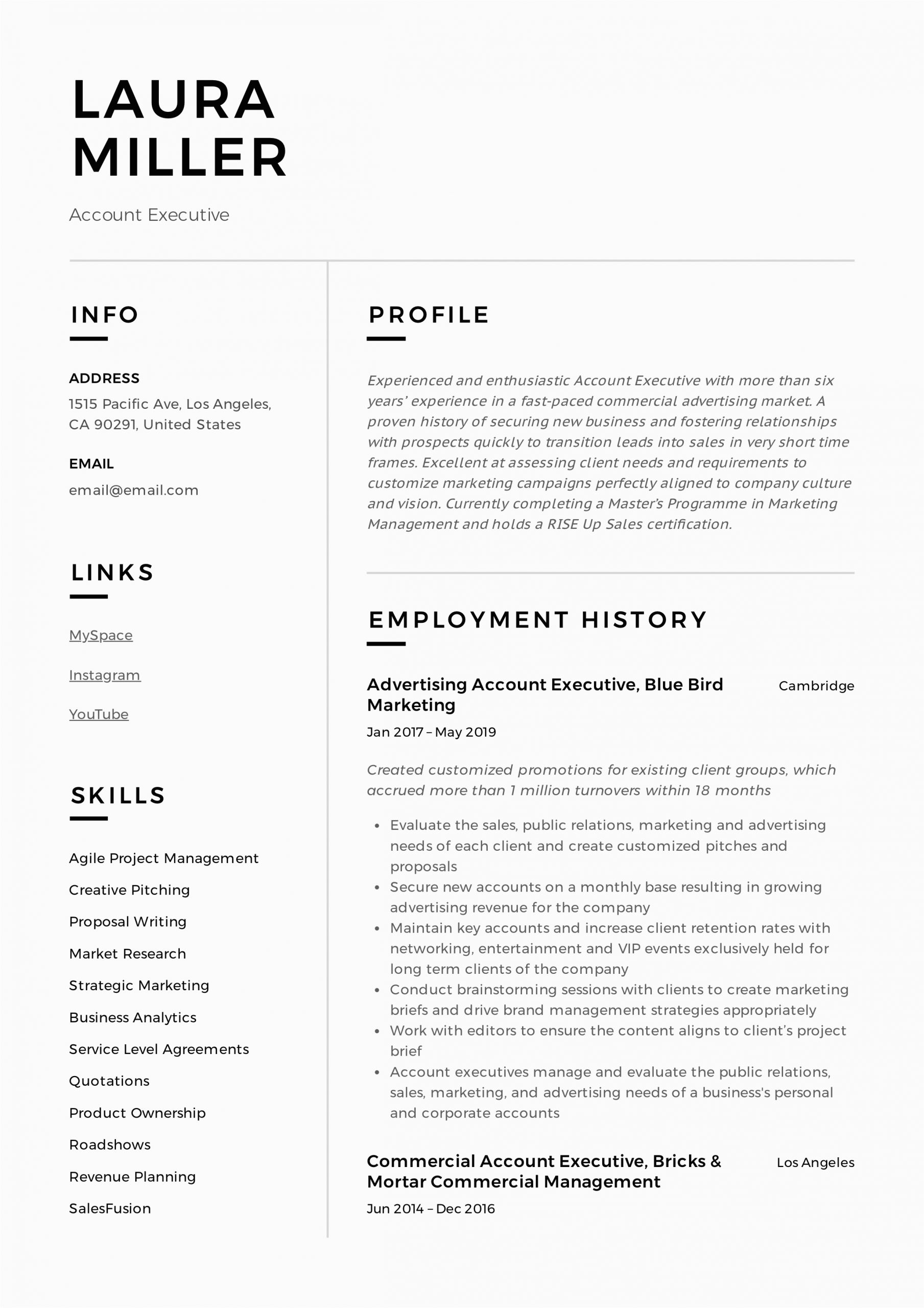 Sample Resume format for Accounts Executive Account Executive Resume & Writing Guide