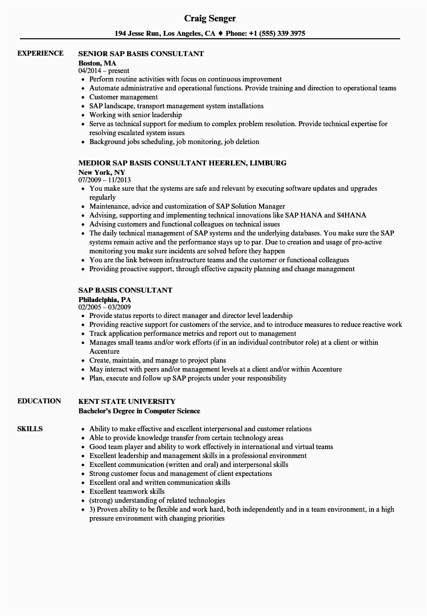 Sap Basis Sample Resume for 3 Years Experience Sap Basis Consultant Resume Samples