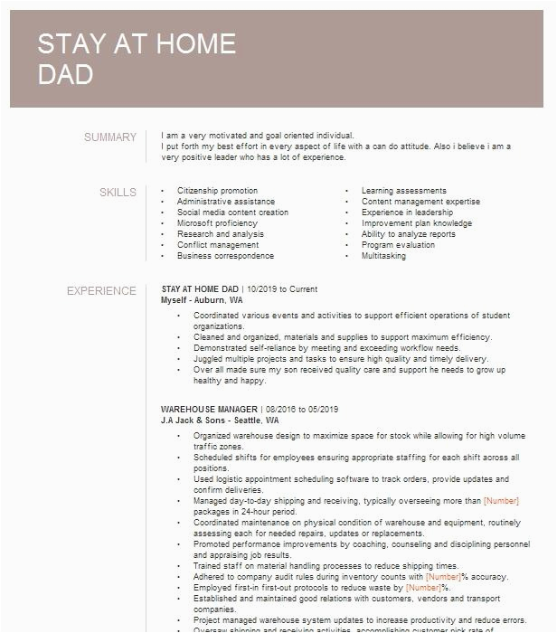 Stay at Home Dad Resume Sample Stay at Home Dad Resume Example Self Employed Saint Paul