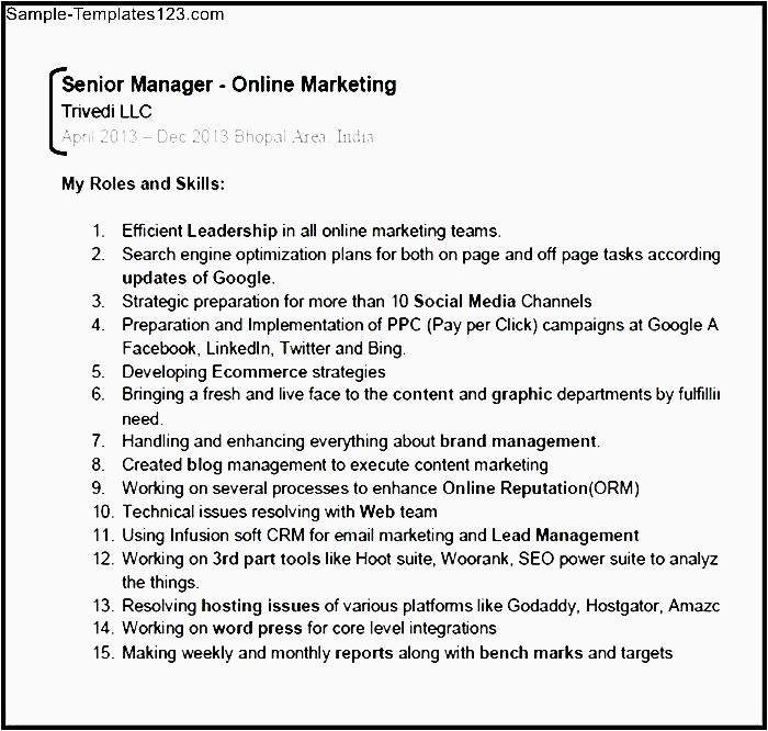 Digital Marketing Executive Resume Sample Pdf Digital Marketing Expert Resume Pdf Sample Templates