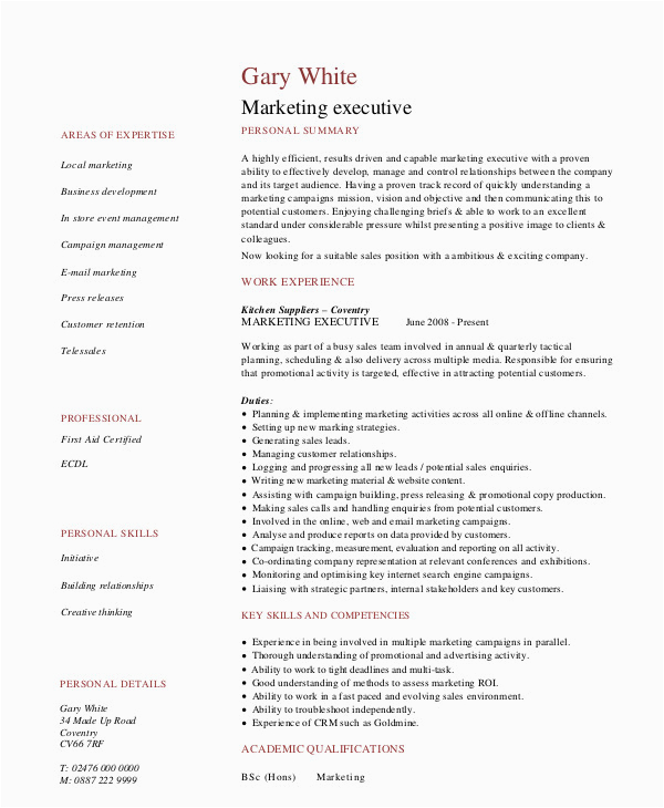 Digital Marketing Executive Resume Sample Pdf Free 10 Marketing Resume Samples In Ms Word