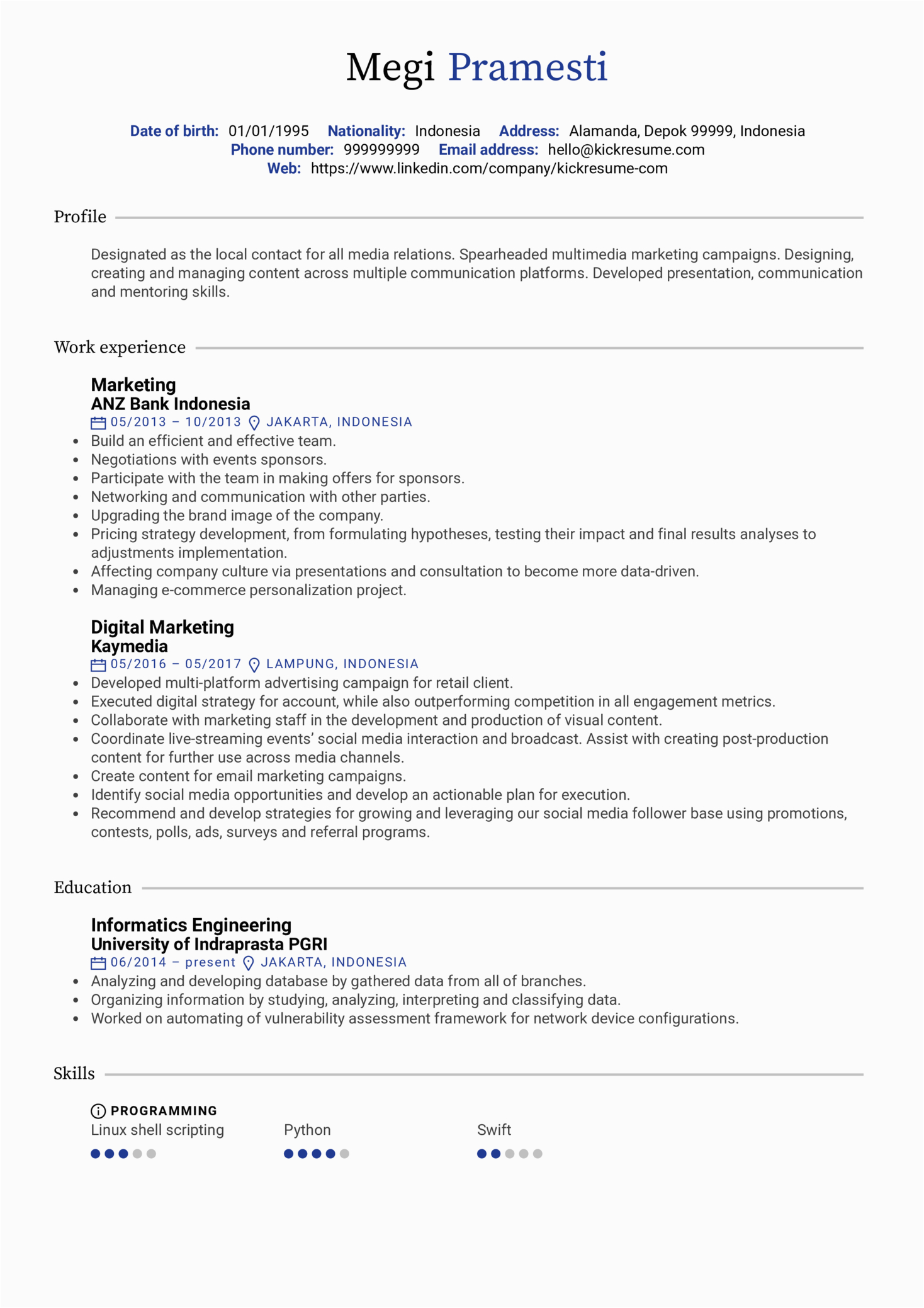Digital Marketing Resume Sample for Experienced Digital Marketing Resume Sample