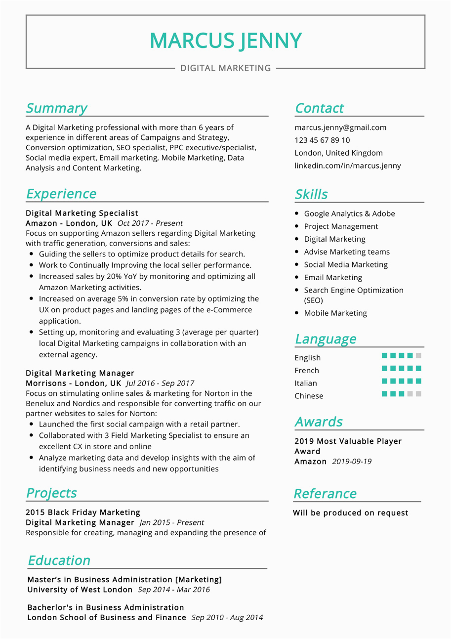 Digital Marketing Resume Sample Free Download Digital Marketing Resume Example