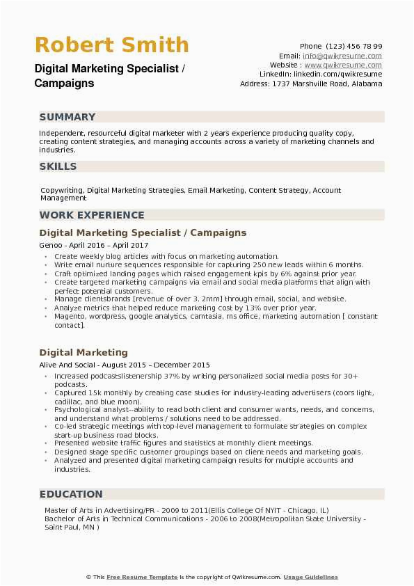 Digital Marketing Resume Sample Free Download Digital Marketing Resume Template Free Download