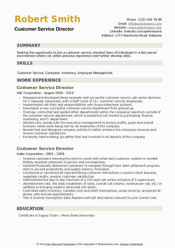 Director Of Customer Service Resume Samples Customer Service Director Resume Samples