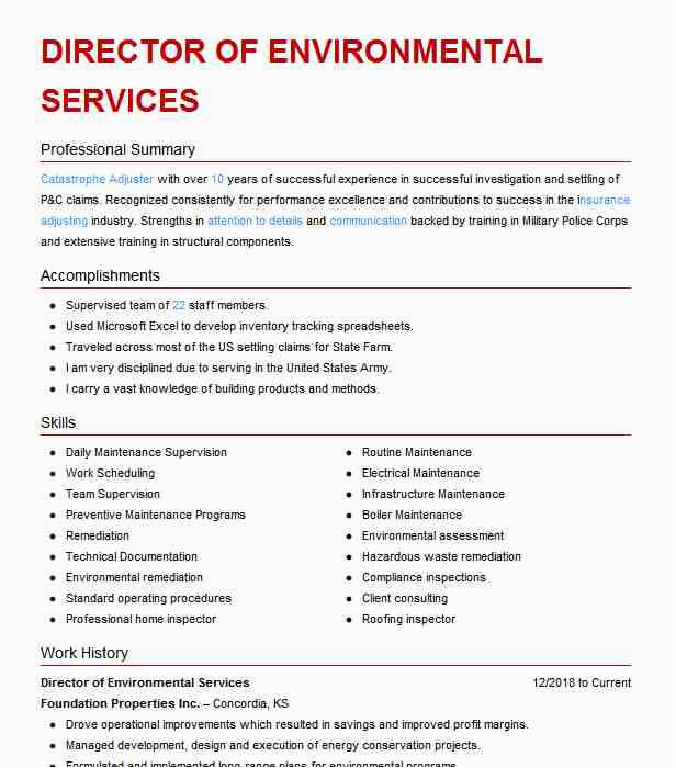 Director Of Environmental Services Resume Sample Director Environmental Services Resume Example