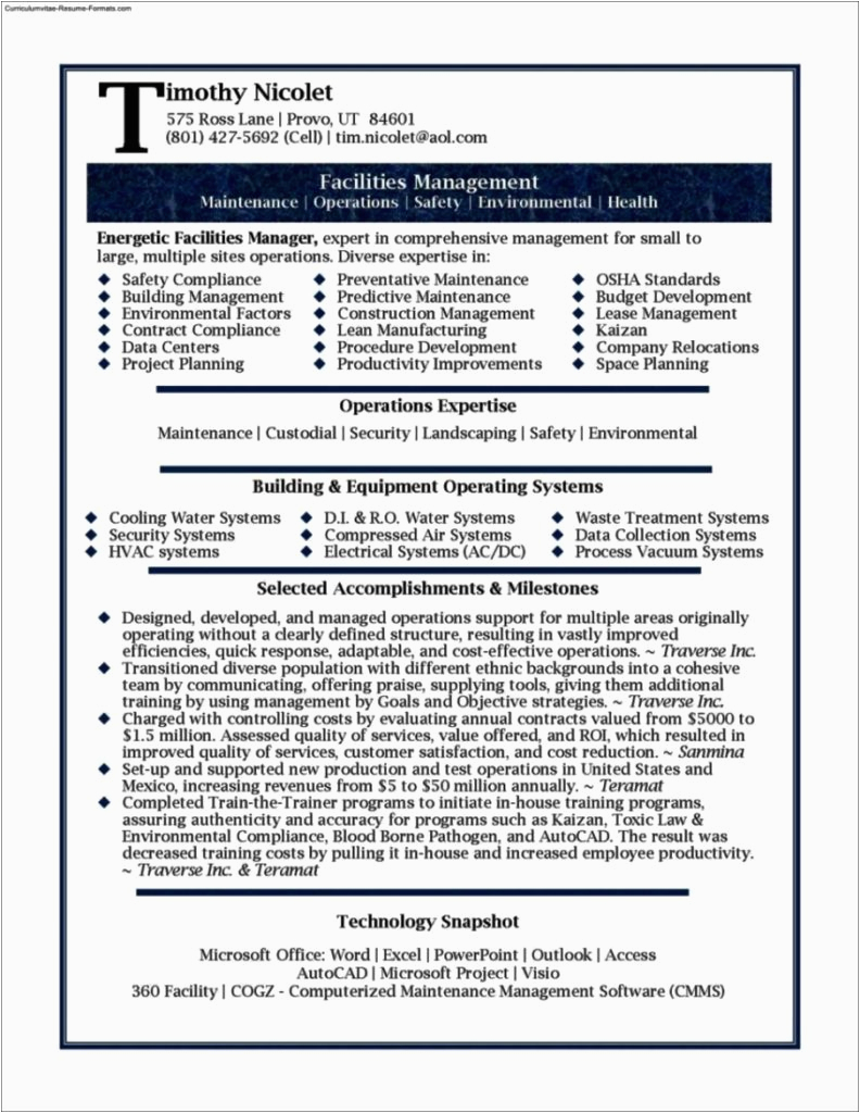 Free Resume Samples for It Professionals Professional It Resume Template
