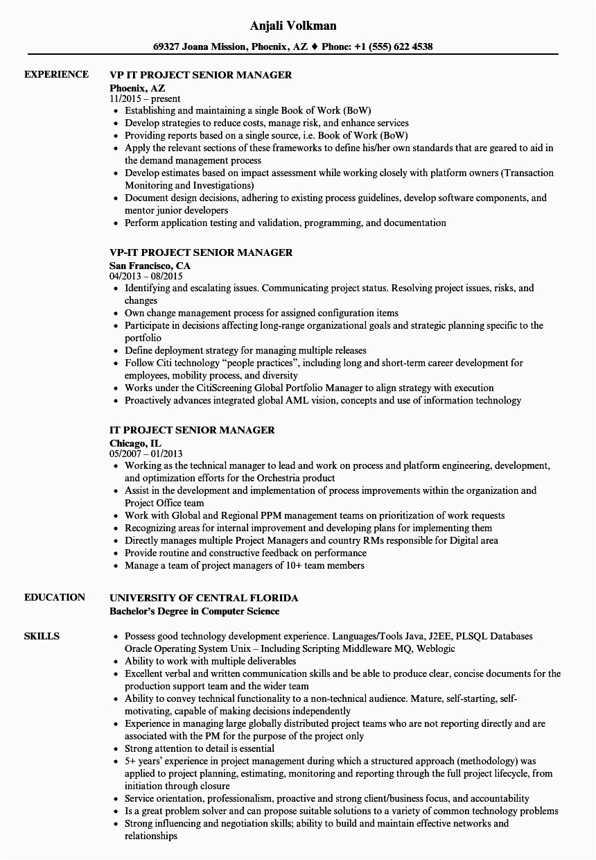 It Project Manager Resume Sample India It Project Senior Manager Resume Samples