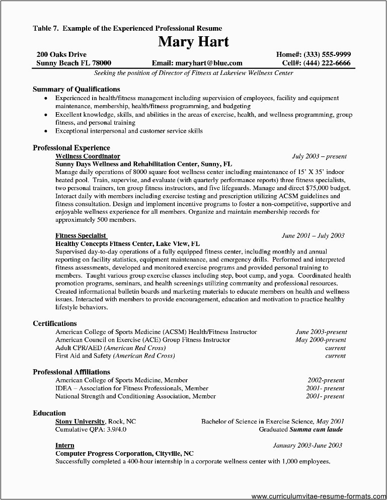 Resume Samples Canada for It Professionals Resume for It Professional with Experience
