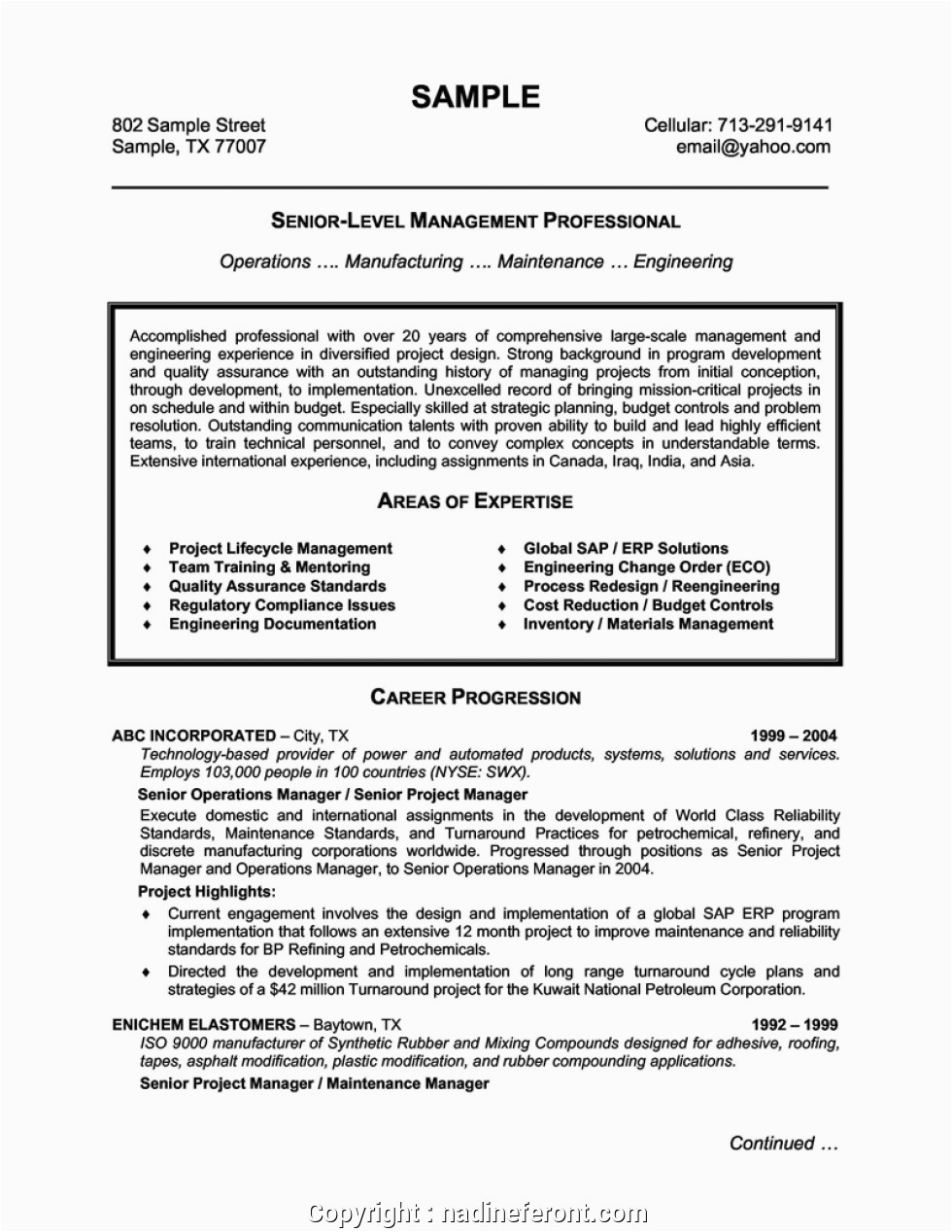 Sample Of Professional Profile On Resume Professional Management Resume Profile Samples Management