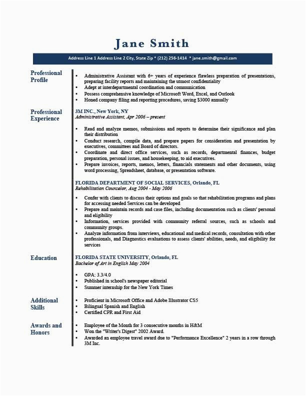 Sample Of Professional Profile On Resume Professional Resume Templates