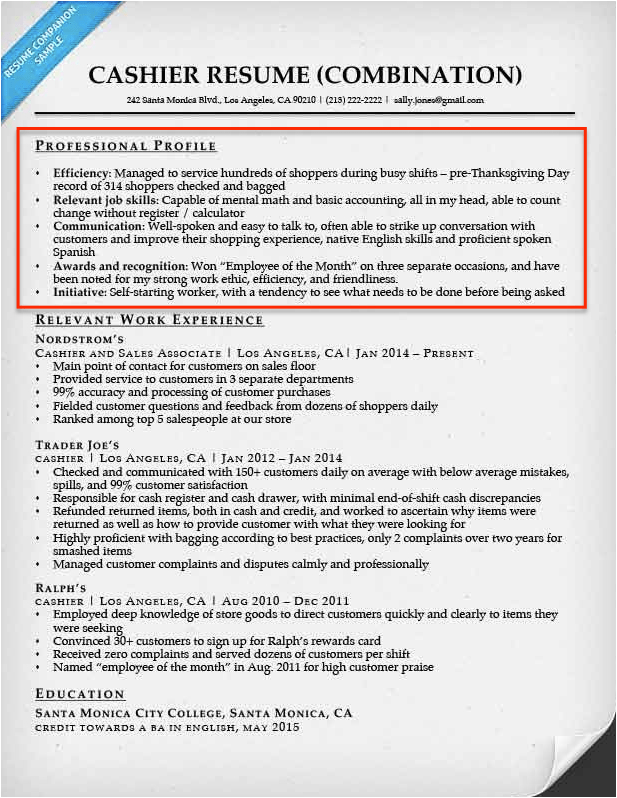 Sample Of Professional Profile On Resume Resume Profile Examples & Writing Guide