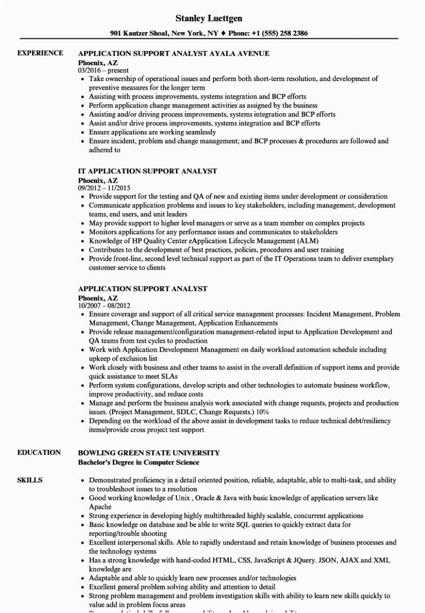 Sample Resume for Application Support Engineer Application Support Engineer Resume Paycheck Stubs