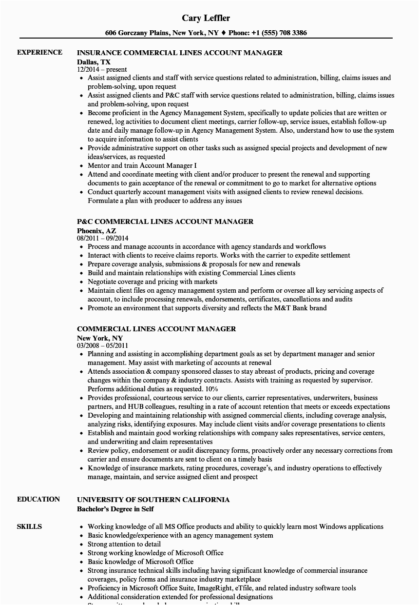 Sample Resume for Commercial Insurance Account Manager Mercial Lines Account Manager Resume Samples