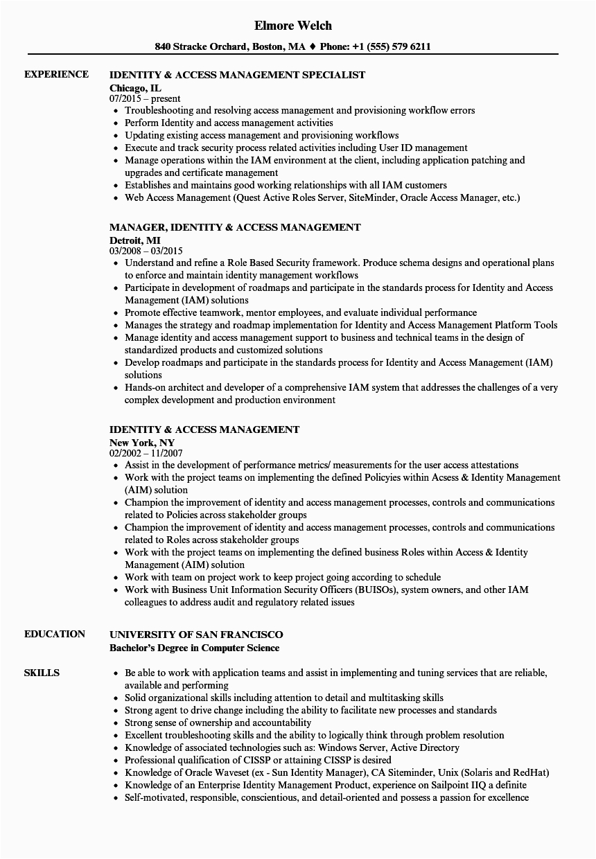 Sample Resume for Identity and Access Management Identity & Access Management Resume Samples