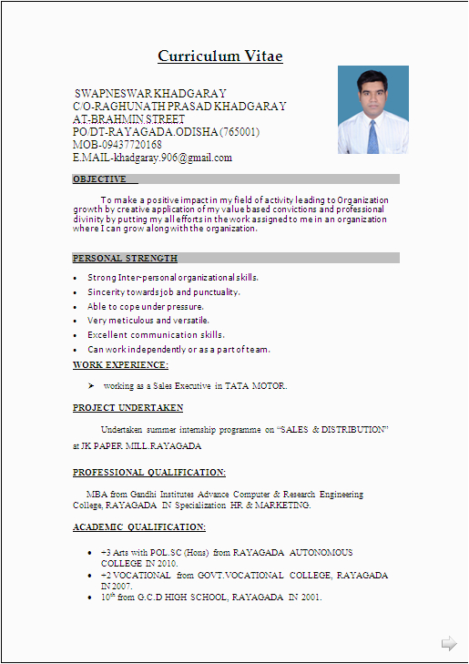 Sample Resume for Sales Executive Fresher Pdf Pin On Resume