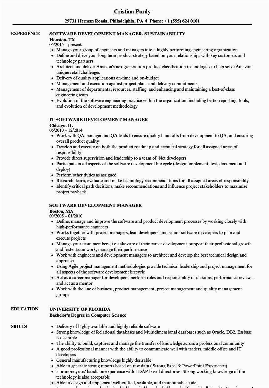 Sample Resume for Vendor Development Manager Development Manager Resume