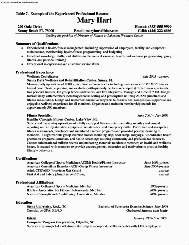 Sample Resume format for Experienced It Professionals Free Download Resume Template for Experienced Professional