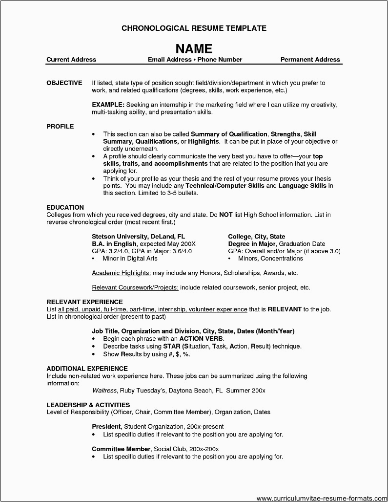 Sample Resume format for Experienced It Professionals Professional Resume format for Experienced